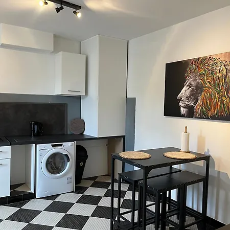 Charmante Maison Avec Jardin Villa *
