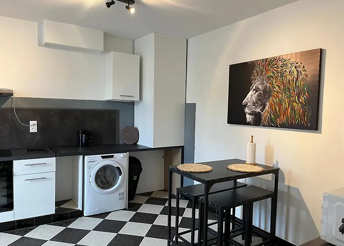 Charmante Maison Avec Jardin Villa *
